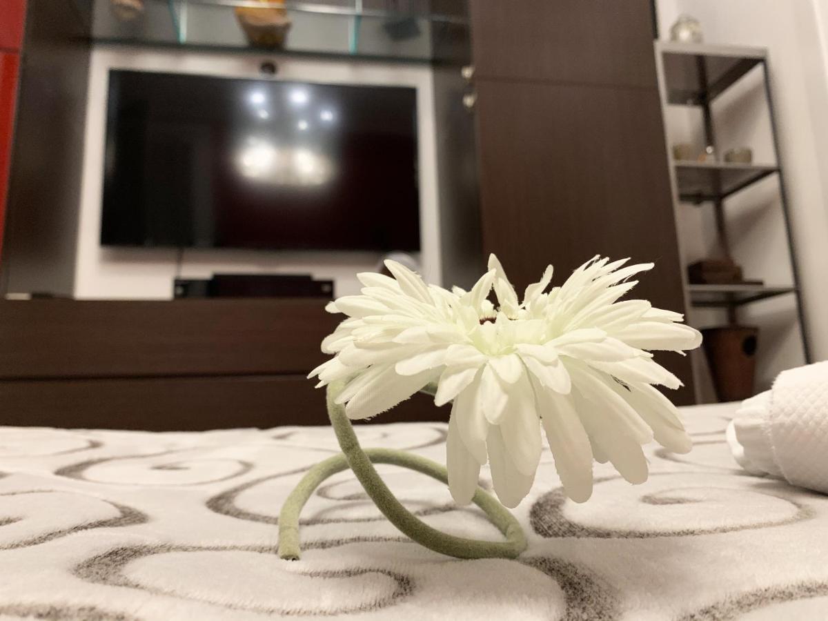 Bed and Breakfast Sansiro47 Мілан Екстер'єр фото